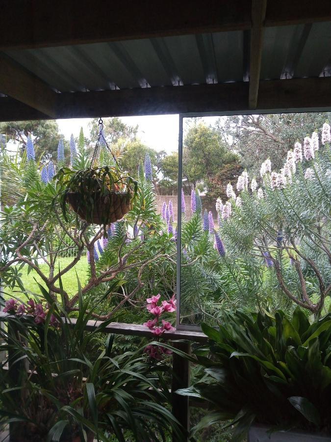 Lakes Entrance Waterfront Cottages With King Beds מראה חיצוני תמונה