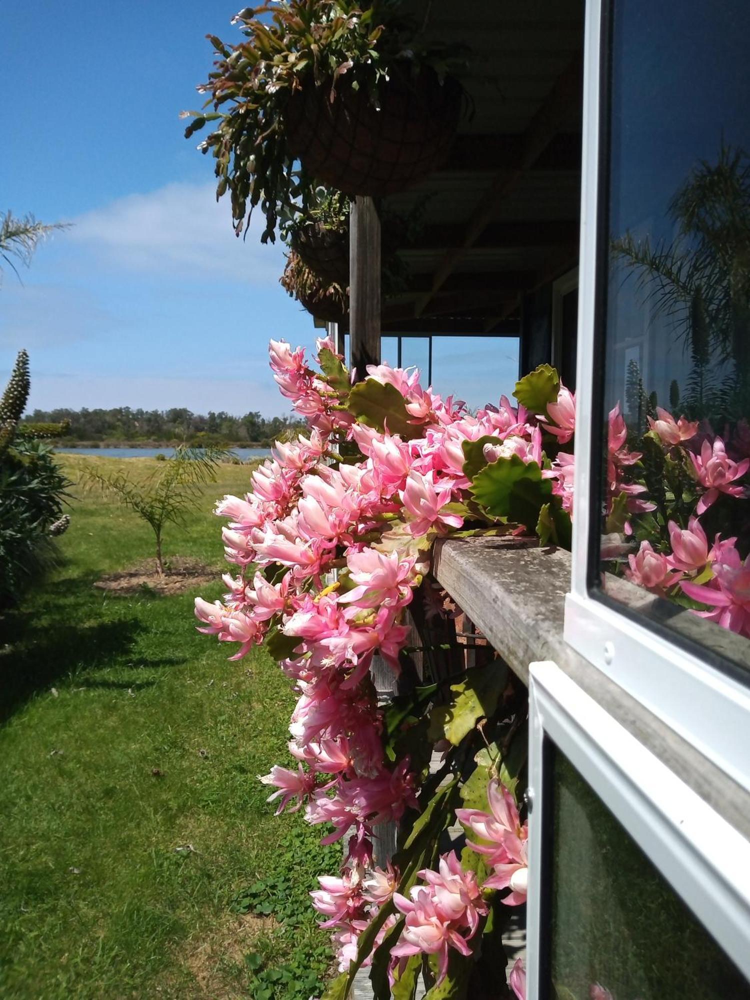 Lakes Entrance Waterfront Cottages With King Beds מראה חיצוני תמונה