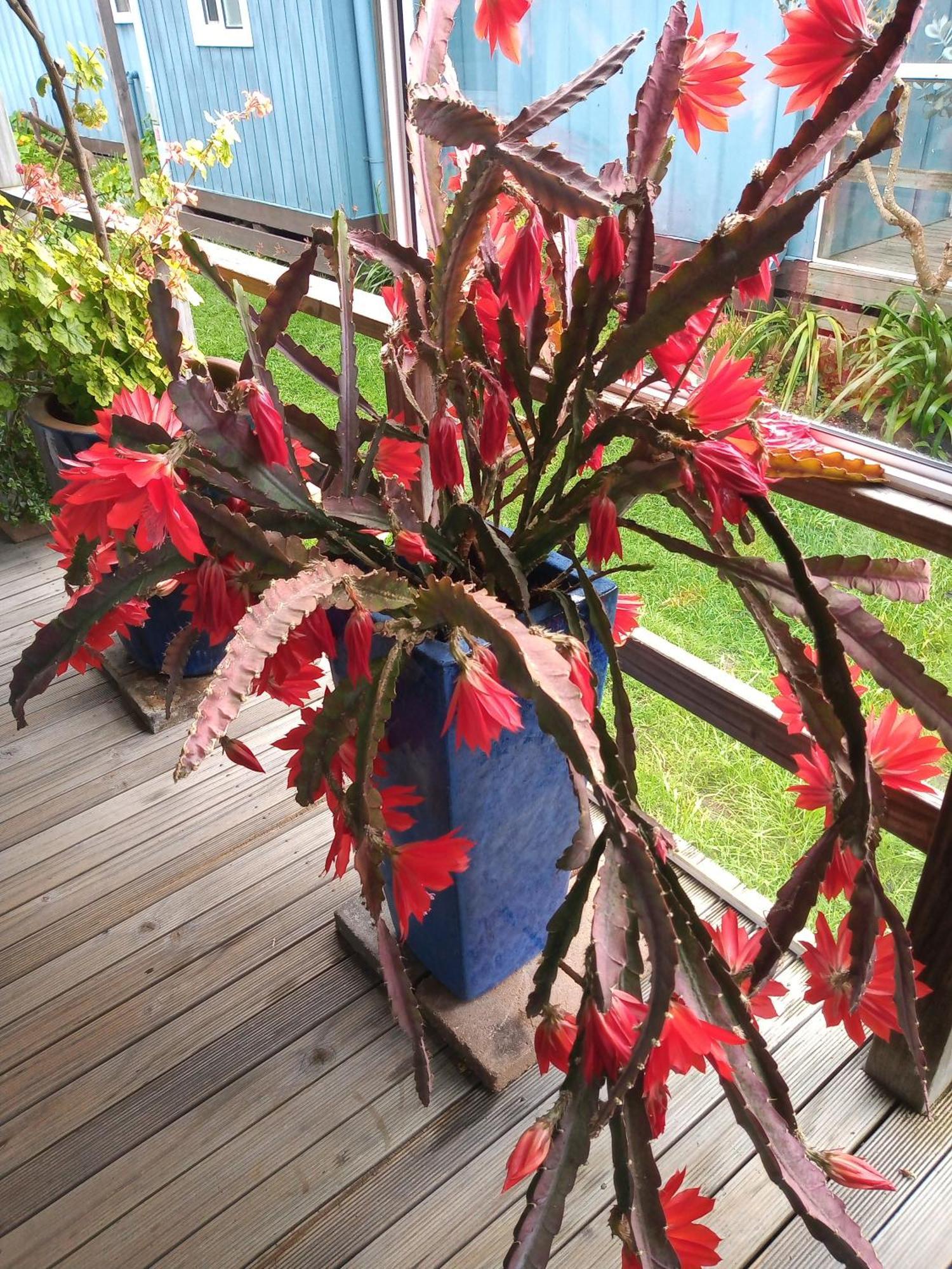 Lakes Entrance Waterfront Cottages With King Beds מראה חיצוני תמונה