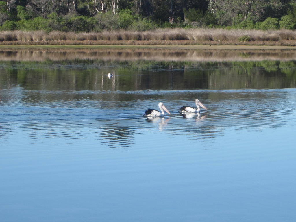 Lakes Entrance Waterfront Cottages With King Beds מראה חיצוני תמונה