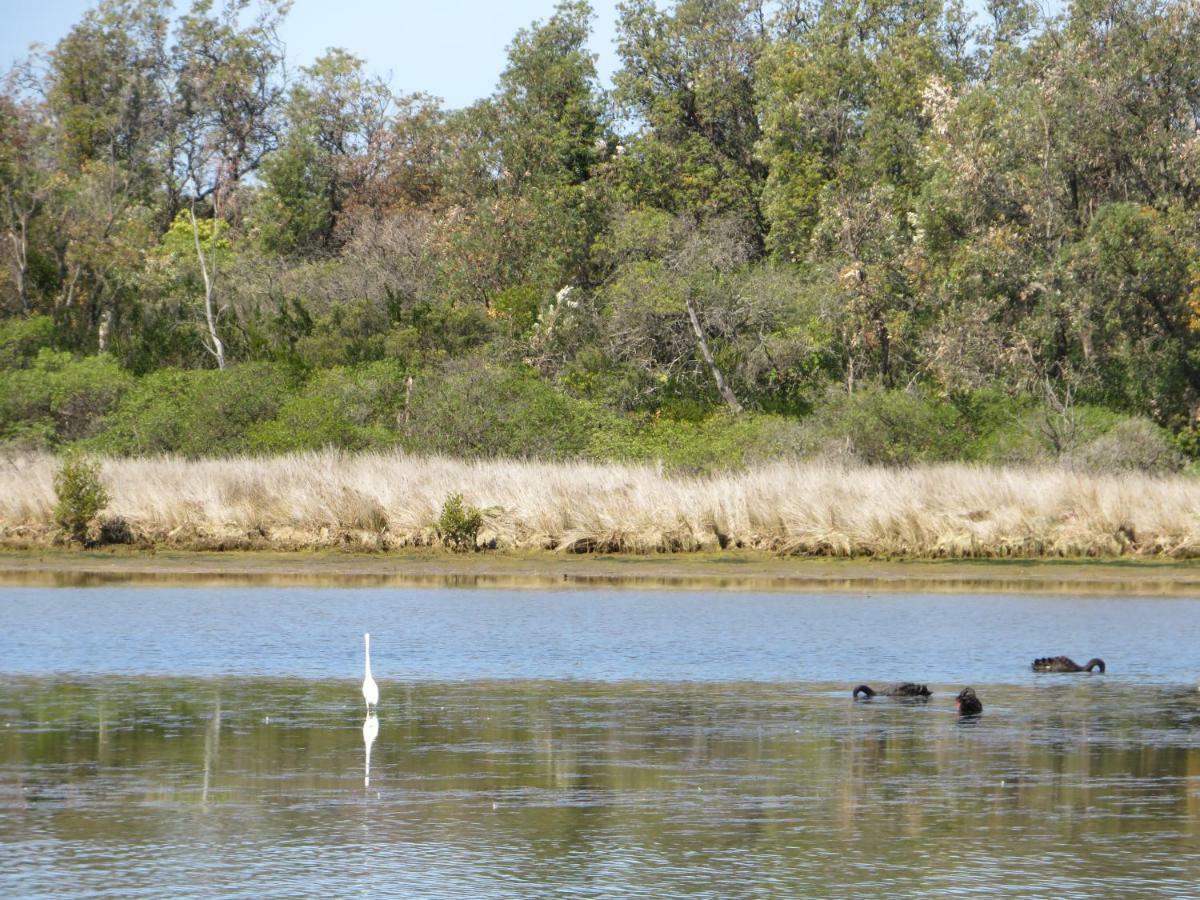 Lakes Entrance Waterfront Cottages With King Beds מראה חיצוני תמונה