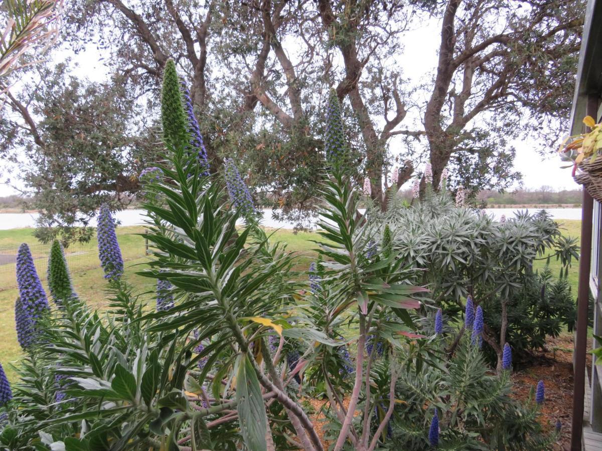 Lakes Entrance Waterfront Cottages With King Beds מראה חיצוני תמונה